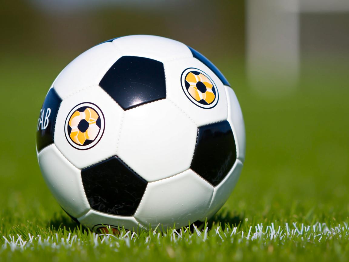 爱游戏app活动-王者荣耀全国联赛总决赛圆满落幕，王者荣耀全国总决赛2020  第1张